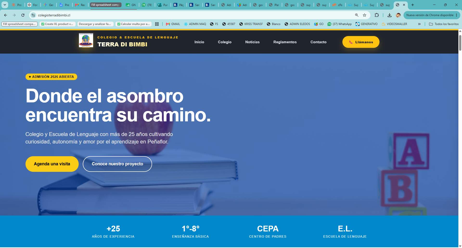 Colegio Terra